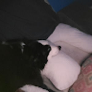 Meet your Posher, Scott